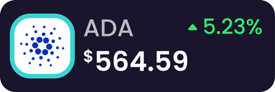 Investment 6